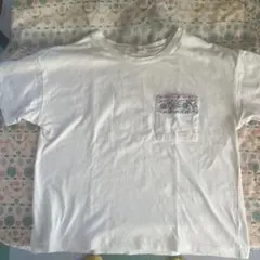 Item thumbnail for item 176e4f58-2ccc-469f-9a5c-0fb4d4bac916