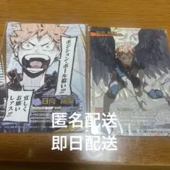 ハイキュー!! バボカ 日向翔陽 頂A RA 2枚セット - メルカリ