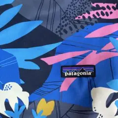 新品・未使用★Patagonia パタゴニア　キャリーエールバッグ　希少のサムネイル