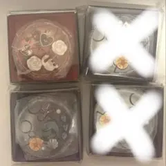 ツイステッドワンダーランド　マカロンミラー　リドル&ジェイド。