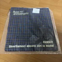 PAGEBOY チェック柄トートバッグ 41周年記念