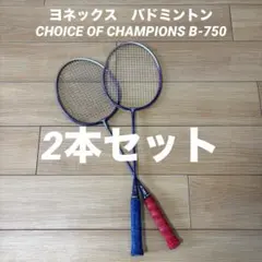 2026年最新】yonex b-750の人気アイテム - メルカリ