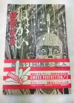 2025年最新】楳図 パーフェクションの人気アイテム - メルカリ