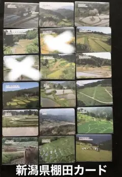 棚田カード　兵庫県養父市　第五弾 2025年最新】棚田カードの人気アイテム - メルカリ