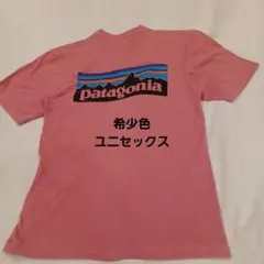 【patagonia】　パタゴニア　ピンク系　ユニセックス　XS　Tシャツ希少色