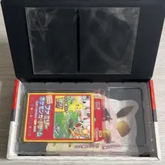 ポケモン 切手BOX 見返り美人 月に雁セット 箱 切手なし プロモなし 箱