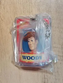 TOY STORY トイ・ストーリー パッケージチャーム ウッディ1種 食玩