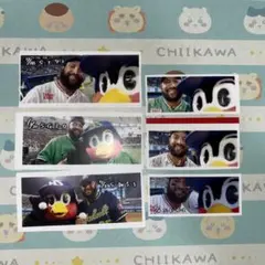 はる（お米売り切れました）様 リクエスト 2点 まとめ商品