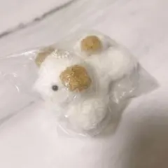 カプセルトイ♡