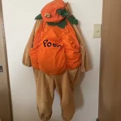 Wolt Disney World くまのプーさん　着ぐるみ ハロウィン