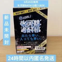 【新品未開封】バンダイ 氷河期BATH 12個入BOXのサムネイル