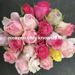Heaven only knows様専用　ラッピング込み