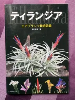 ティランジア = Tillandsia : エアプランツ栽培図鑑 - メルカリ