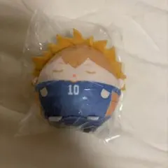 ハイキュー くじメイト ぬいくじ てのりんず E賞 日向翔陽