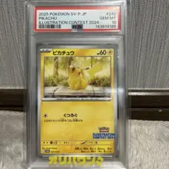 2026年最新】ピカチュウ psa10 スカーレットの人気アイテム - メルカリ