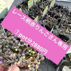 ①pot分2880