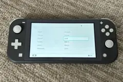 Nintendo Switch Lite 本体 充電器・ケース付き