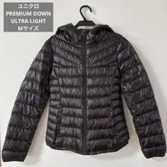 Item thumbnail for item d46c3e29-9dea-4754-95a7-b169ce533901