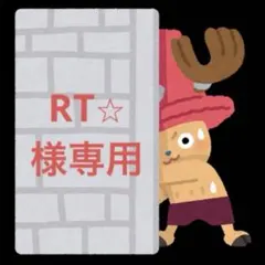 RT⭐︎様専用です。