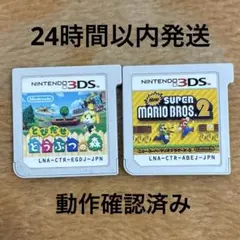 とびだせ どうぶつの森 New スーパーマリオブラザーズ2 3DS