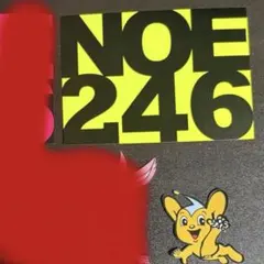 2026年最新】NOE246 ステッカーの人気アイテム - メルカリ