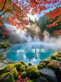 ami…⭐︎様専用
