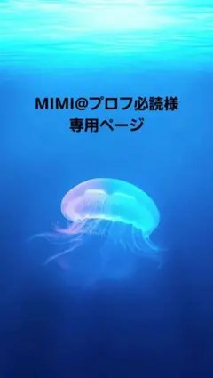 MIMI@プロフ必読様専用ページ