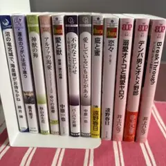 BL小説12冊セット　バラ売可