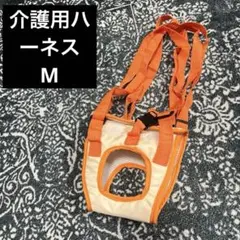 Item thumbnail for item 6cf60abd-fe86-4483-a54f-98b1203c8cba