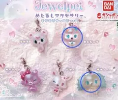 ジュエルペット めじるしアクセサリー キラキラオーロラver.