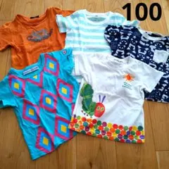 Tシャツ5枚セット サイズ100