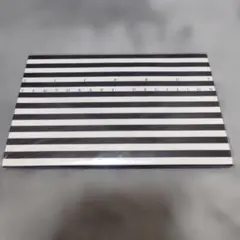 PIERROT TEMPORARY DECISION ツアーグッズ