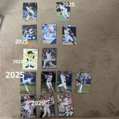 プロ野球 トレーディングカード セット2024、2025 セリーグ