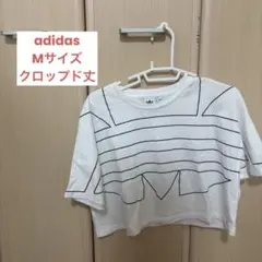 adidas アディダス クロップド Tシャツ ホワイト