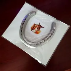 【本物の蹄鉄】馬蹄