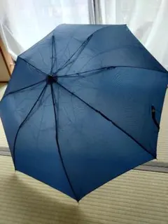 Item thumbnail for item fbe15e1f-65eb-4c0b-9f18-67c990d5791c