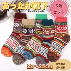 【５足セット】靴下 ソックス 暖かい レディース あたたかい 極暖 y1065