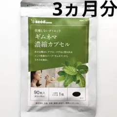 ギムネマ 濃縮カプセル 約3ヵ月分 ダイエット サプリメント健康食品のサムネイル