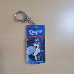 中日ドラゴンズ アクリルキーホルダー シークレットブリスタズ 細川成也　選手