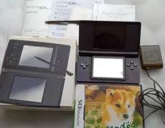 Nintendo DS Lite本体＊ソフト1本付き