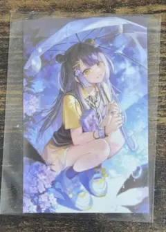 海妹四葉　ノスタルジアコレクション2025　カード　チェキ