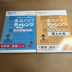 未記入超美品◆2024年度 チャレンジ3年生 12か月分 完品 1年分 1年分 チャレンジ4年生 2023年4月から2024年3月 わくわくブック