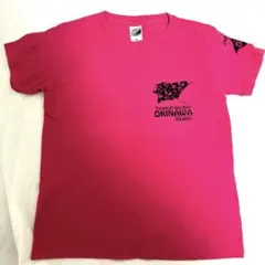 Item thumbnail for item 5904dc63-6937-4ef6-af19-a0ea46864347