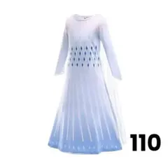 【2点セット】110 アナと雪の女王 長袖ドレス プリンセス クリスマス エルサ