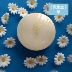 2026年最新】資生堂ファンシーパウダーの人気アイテム - メルカリ