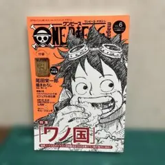 ONE PIECE magazine Vol.6