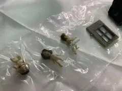 ひでパイ様 リクエスト 2点 まとめ商品