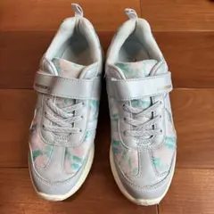 瞬足　レモンパイ