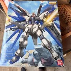 大陸製 1/144 RG Hi-ν 海牛 ガンダム擬ハイニュー RX-93-ν2 - メルカリ