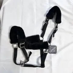 Item thumbnail for item 26fb28a7-ca72-4199-91e6-e4de2b536328